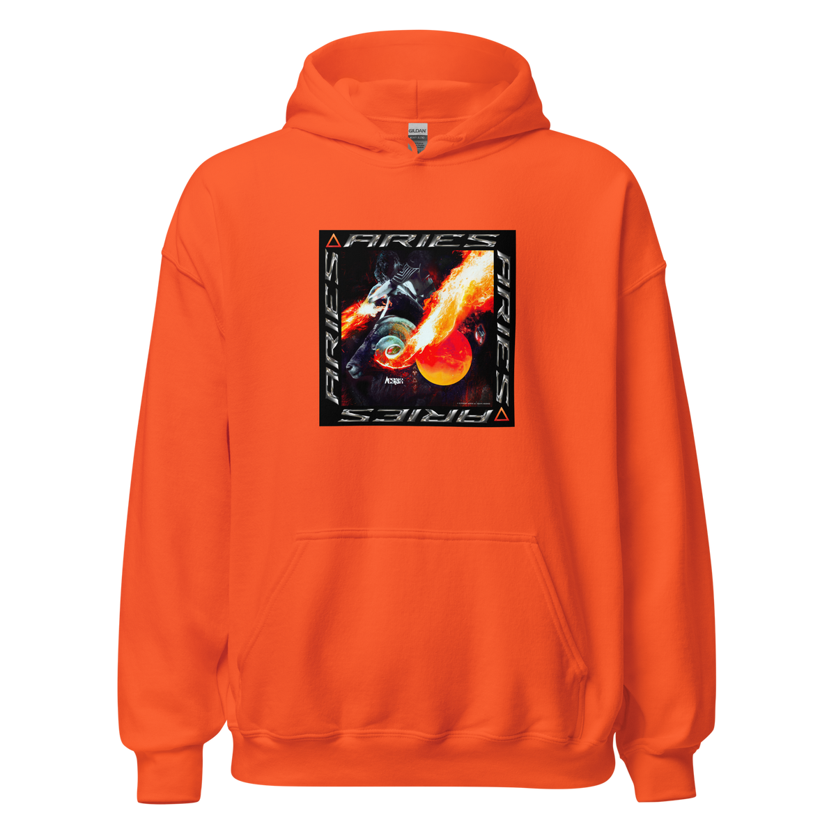 ARIES Aespux Unisex Hoodie